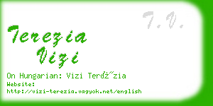 terezia vizi business card